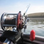 Come Guadagnare Nuovi Lettori con un Buon Pesce D’Aprile