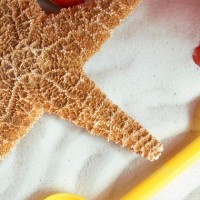 Come Stai Preparando il Tuo Blog all’Estate?