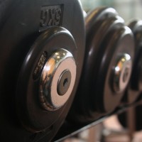 Bloggare è una Palestra. In Tutti i Sensi