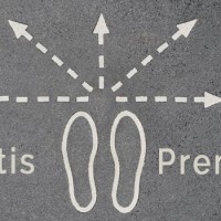 Temi WordPress Gratuiti VS Temi WordPress Premium: Quali Dovrei Scegliere?