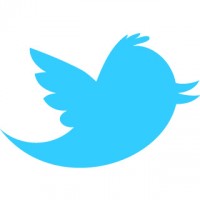 Gli Hashtag Sono Animali Liberi (di McDonald’s, Twitter e #McDStories)