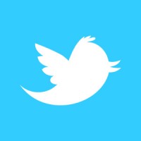 Tre Secondi per Colpire su Twitter: Come Scrivere una Mini-bio che Farà Impazzire i Tuoi Follower