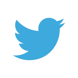 Twitter e l'ecosistema API